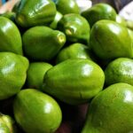 Avocado Dela Fresh Foods in Uganda