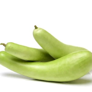 Bottle gourd Dela Fresh Foods in Uganda