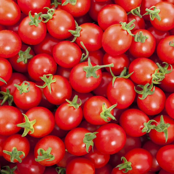 cherry tomatoes Dela fresh foods in Uganda
