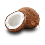 coconut Dela fresh foods in Uganda