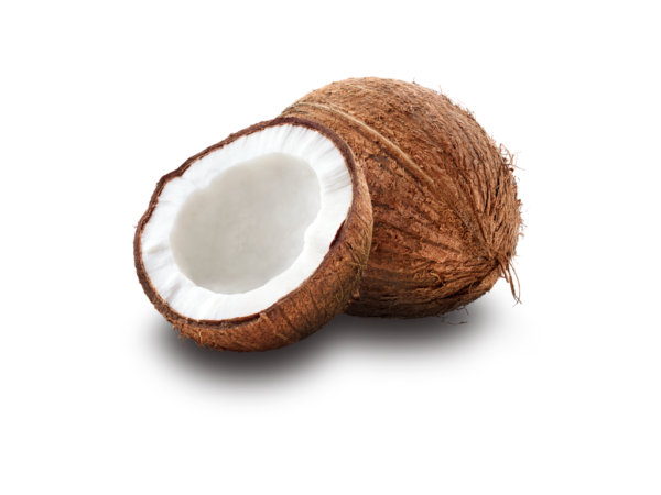 coconut Dela fresh foods in Uganda